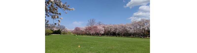 【エリア別】春に行きたい合宿免許地