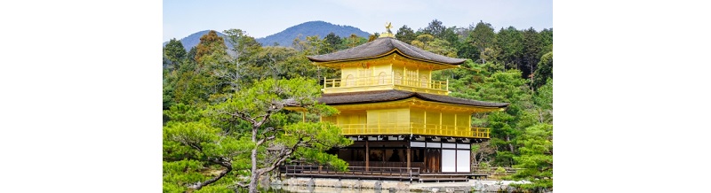 【観光付き】人気観光地巡りができる合宿免許