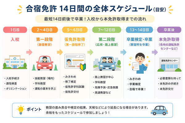 合宿免許14日間の全体スケジュール図