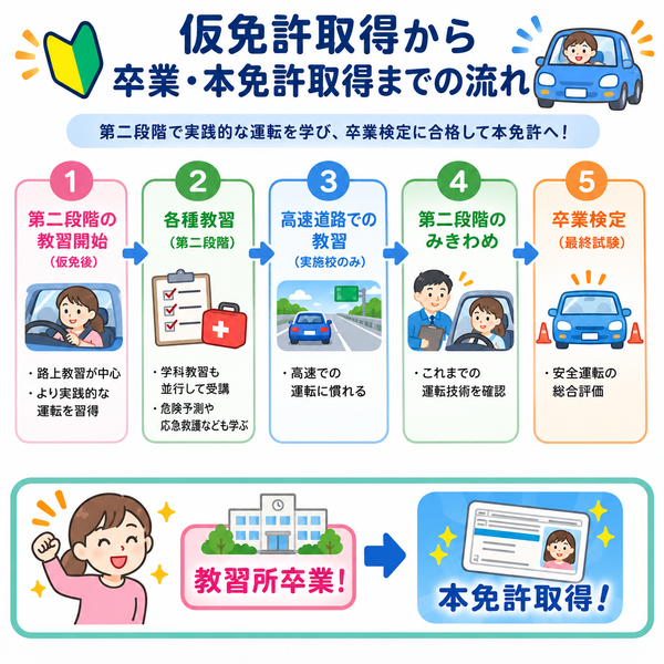 仮免許取得から卒業・本免許取得までの流れ図